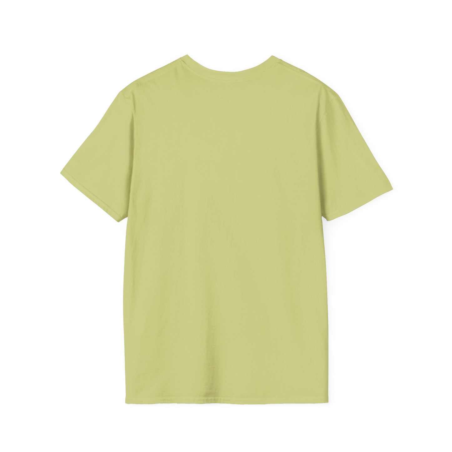 Camiseta de la Basílica de San Pedro