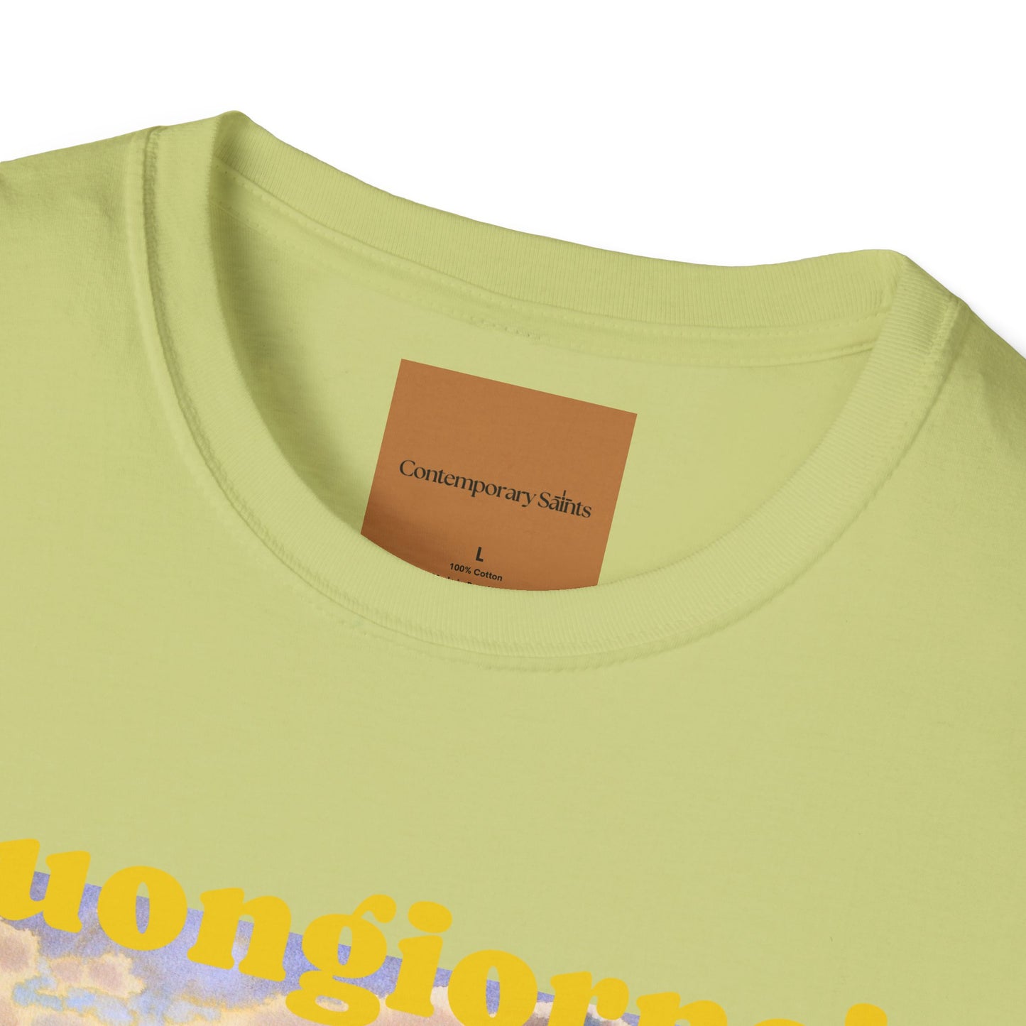 Camiseta de la Basílica de San Pedro