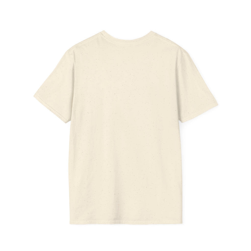 Camiseta de la Basílica de San Pedro