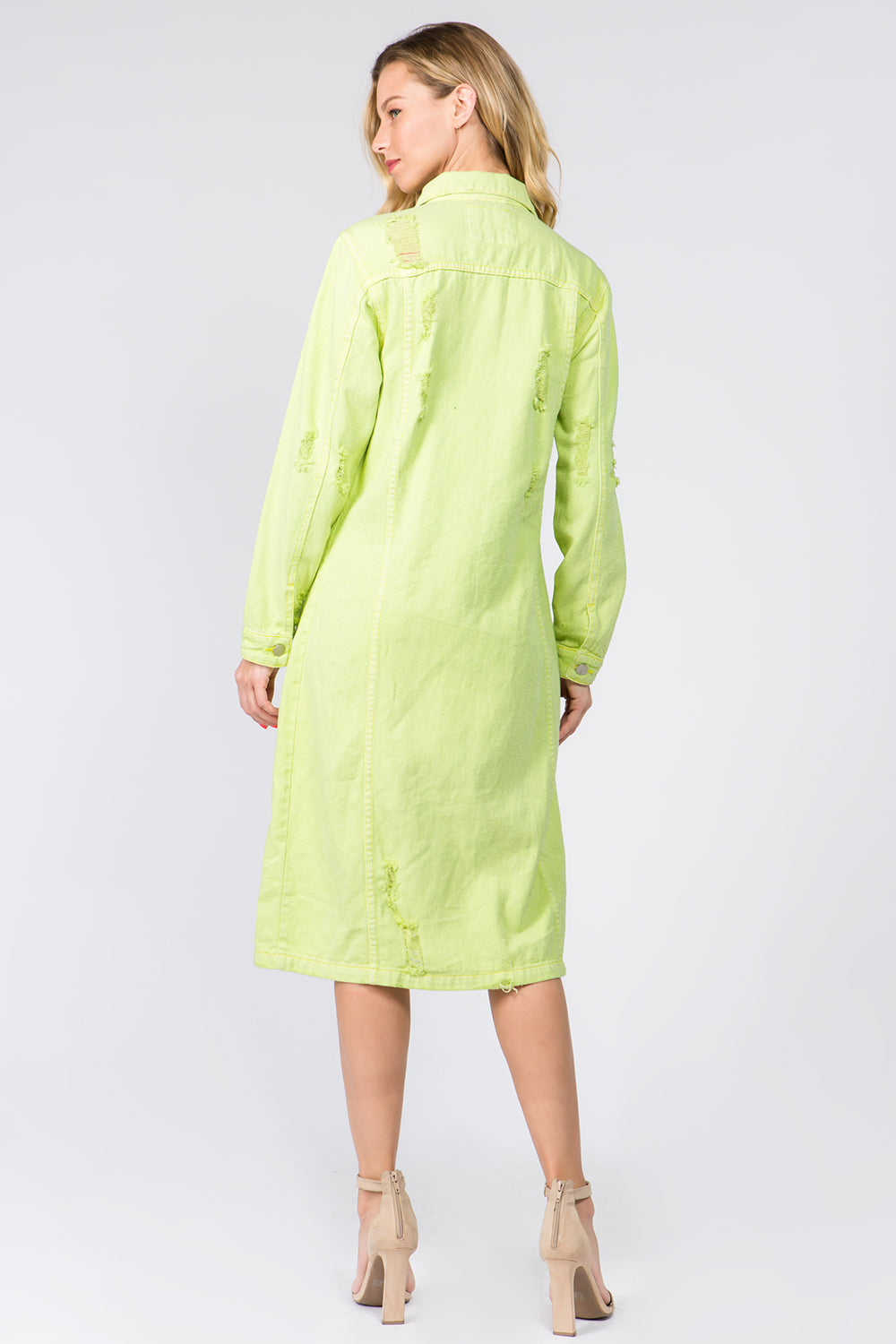 Pellegrina Jacket Dress